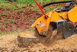 Best Commercial Tree Services  in Demorest, GA